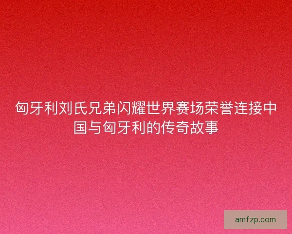 匈牙利刘氏兄弟闪耀世界赛场荣誉连接中国与匈牙利的传奇故事