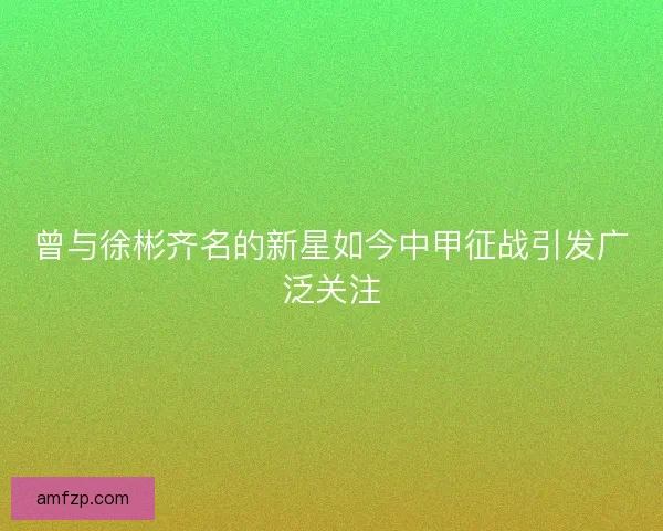 曾与徐彬齐名的新星如今中甲征战引发广泛关注