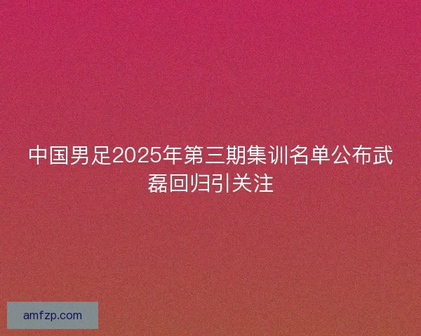 中国男足2025年第三期集训名单公布武磊回归引关注